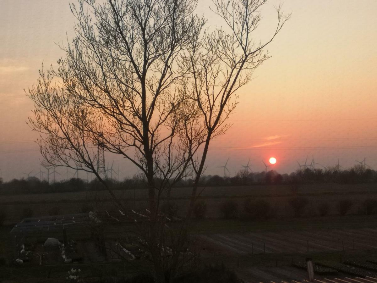 Ferienwohnung Almdorf Dış mekan fotoğraf
